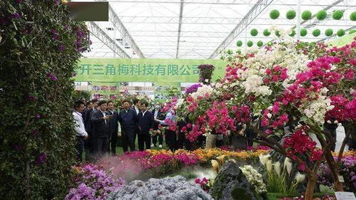 首届广西花卉苗木交易会 绽放桂林，惠及万家