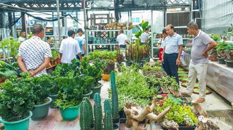 2018年永春县新型职业农民花卉苗木专业培训班圆满落幕，助力花卉苗木零售新发展